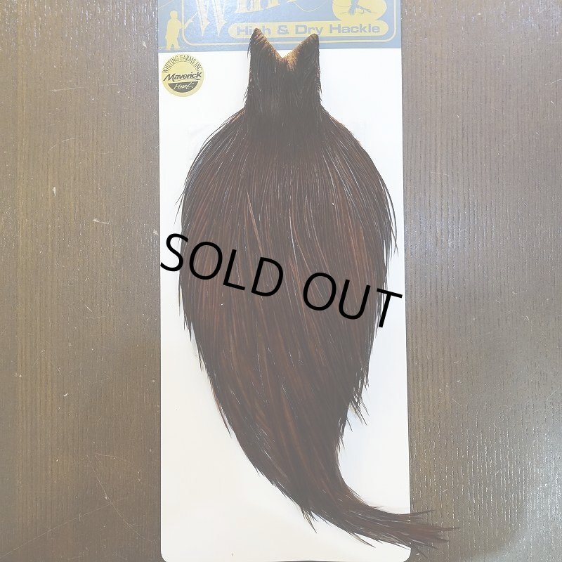 画像1: 【WHITING】High & Dry ROOSTER Cape - Dyed Coachman Brown No.3 (1)