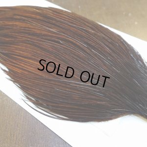 画像4: 【WHITING】High & Dry ROOSTER Cape - Dyed Coachman Brown No.3