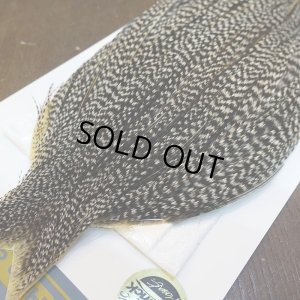 画像3: 【WHITING】High & Dry ROOSTER Cape - Grizzly Variant No.4