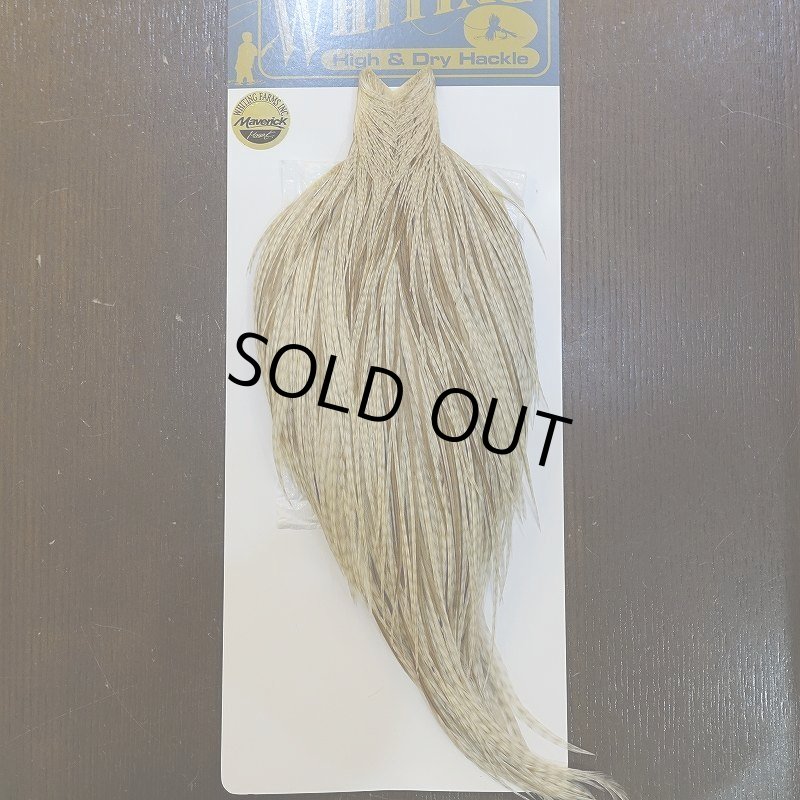 画像1: 【WHITING】High & Dry ROOSTER Cape - Variant (1)