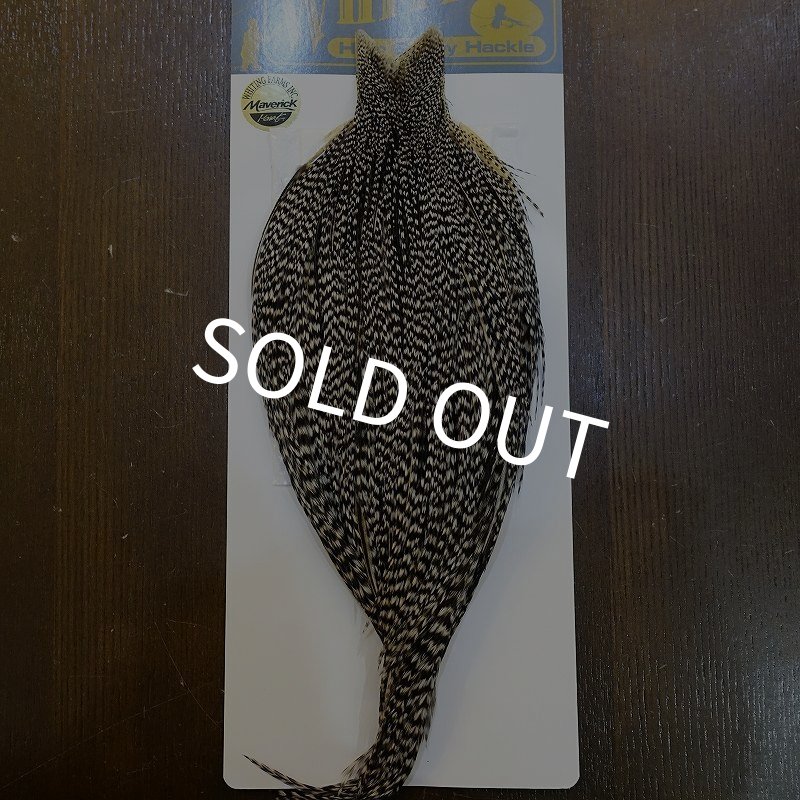 画像1: 【WHITING】High & Dry ROOSTER Cape - Grizzly Variant No.4 (1)