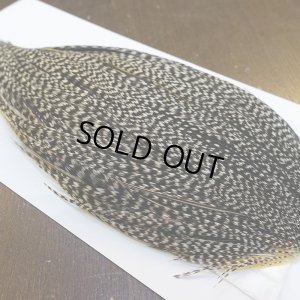 画像4: 【WHITING】High & Dry ROOSTER Cape - Grizzly Variant No.4