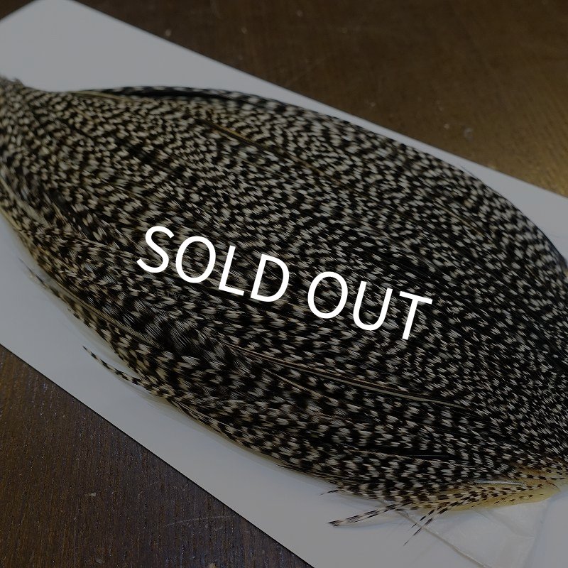 画像4: 【WHITING】High & Dry ROOSTER Cape - Grizzly Variant No.4 (4)