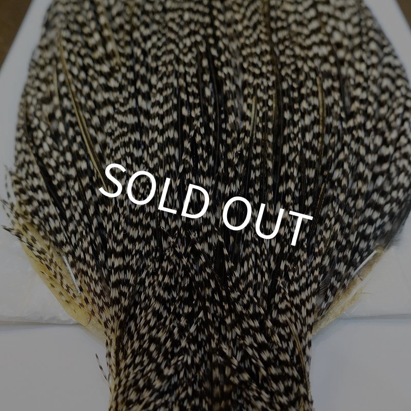 画像5: 【WHITING】High & Dry ROOSTER Cape - Grizzly Variant No.4 (5)