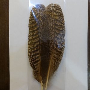 画像1: 【ANGLE】PEACOCK QUILL Aグレード