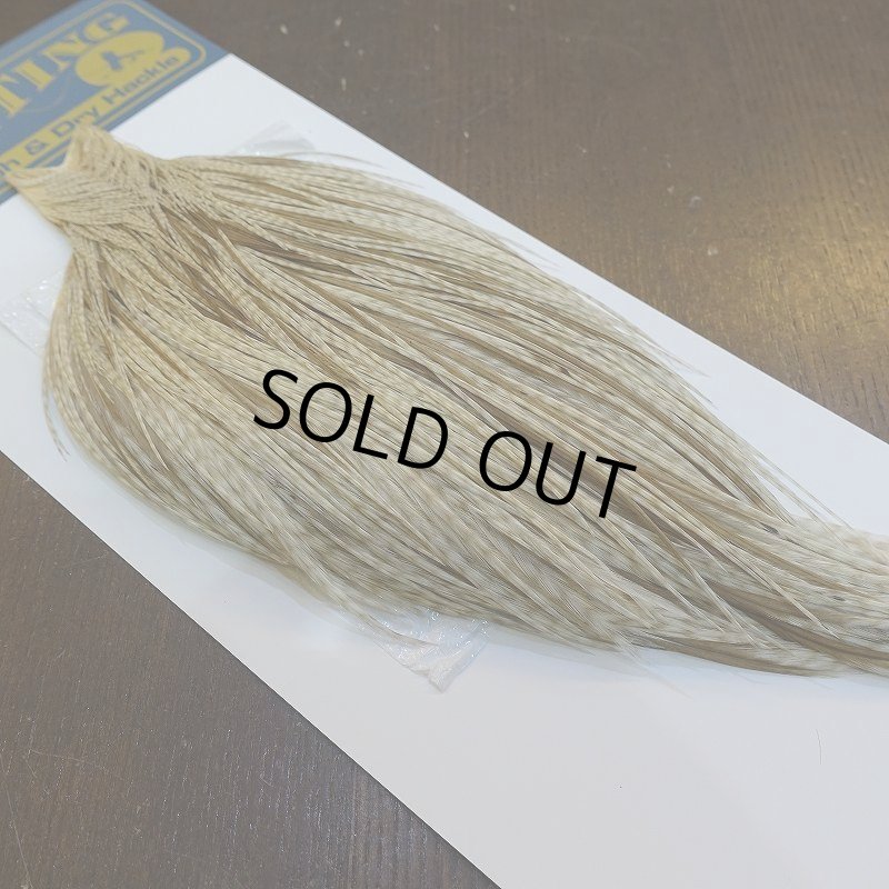 画像2: 【WHITING】High & Dry ROOSTER Cape - Variant (2)