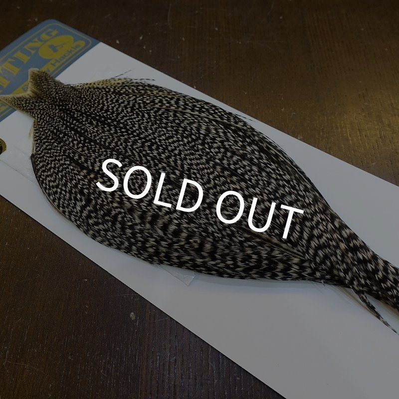 画像2: 【WHITING】High & Dry ROOSTER Cape - Grizzly Variant No.4 (2)