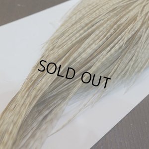 画像5: 【WHITING】High & Dry ROOSTER Cape - Variant