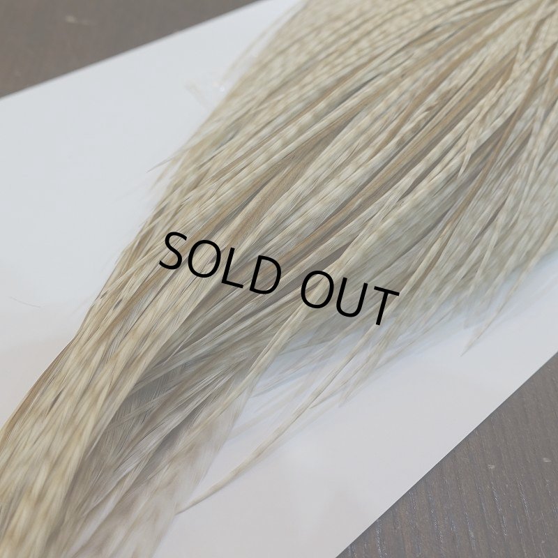 画像5: 【WHITING】High & Dry ROOSTER Cape - Variant (5)