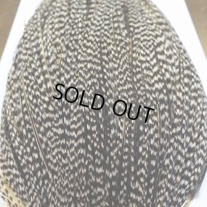 画像6: 【WHITING】High & Dry ROOSTER Cape - Grizzly Variant No.4