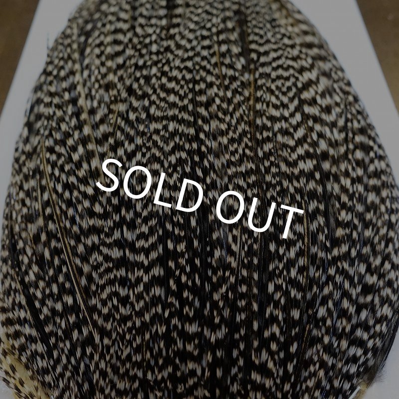 画像6: 【WHITING】High & Dry ROOSTER Cape - Grizzly Variant No.4 (6)