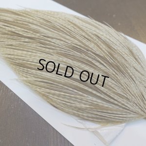 画像4: 【WHITING】High & Dry ROOSTER Cape - Variant