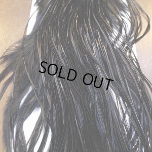 画像7: 【WHITING】ROOSTER SADDLE PRO Grade - Black No.2 #16