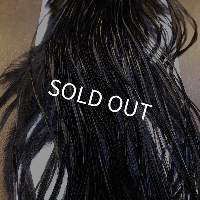 画像7: 【WHITING】ROOSTER SADDLE PRO Grade - Black No.2 #16 (7)