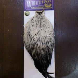 画像1: 【WHITING】American Rooster Cape - Black Laced White No.1