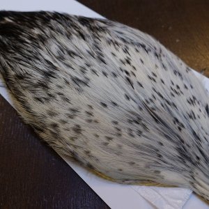 画像4: 【WHITING】American Rooster Cape - Black Laced White No.1