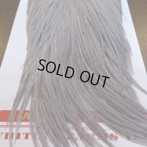 画像5: 【Whiting】ROOSTER CAPE BRONZE Grade - Medium Dun No.1