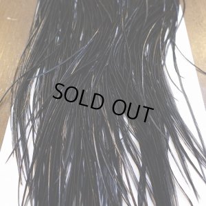 画像6: 【WHITING】ROOSTER SADDLE PRO Grade - Black No.3 #18