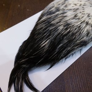 画像5: 【WHITING】American Rooster Cape - Black Laced White No.1