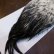 画像5: 【WHITING】American Rooster Cape - Black Laced White No.1 (5)