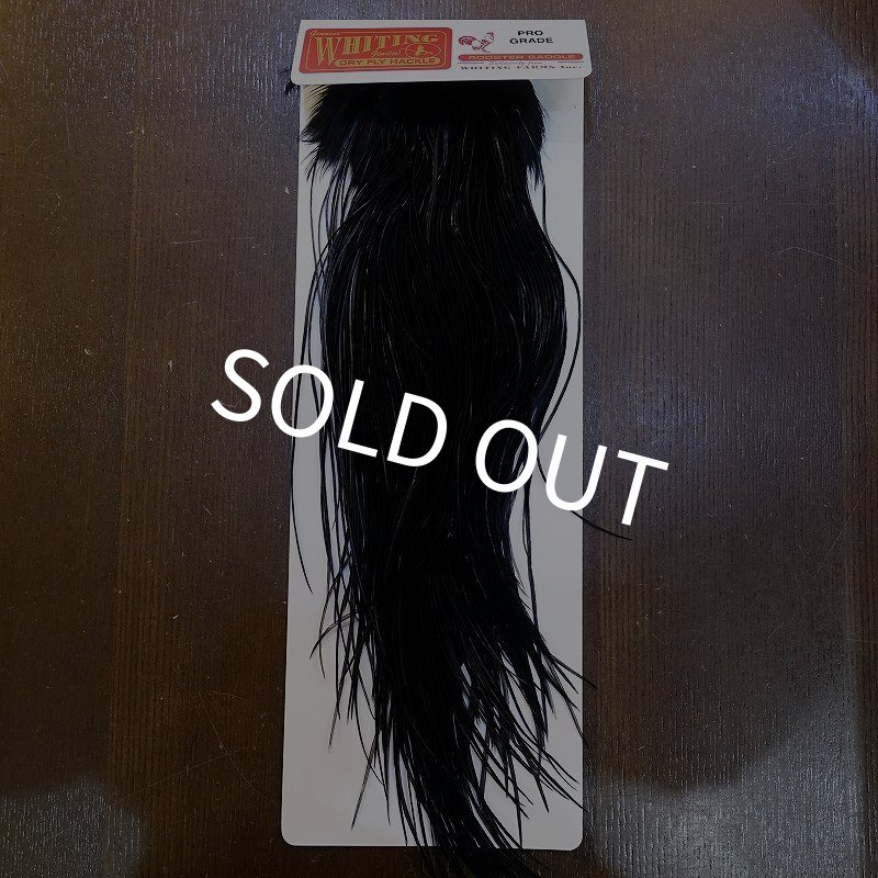 画像1: 【WHITING】ROOSTER SADDLE PRO Grade - Black No.3 #18 (1)