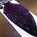 画像2: 【WHITING】American Hen Cape BLW/Purple (2)