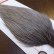 画像4: 【Whiting】ROOSTER CAPE BRONZE Grade - Medium Dun No.3