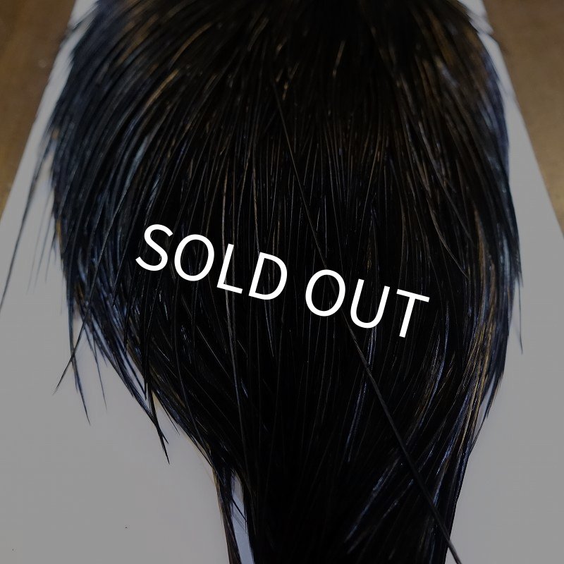 画像6: 【WHITING】High & Dry ROOSTER Cape - DYED BLACK No.1 (6)