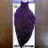 画像1: 【WHITING】American Hen Cape BLW/Purple (1)