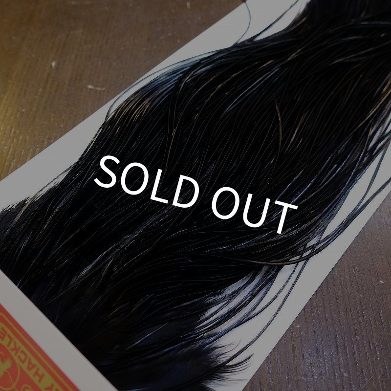 画像3: 【WHITING】ROOSTER SADDLE PRO Grade - Black No.3 #18 (3)