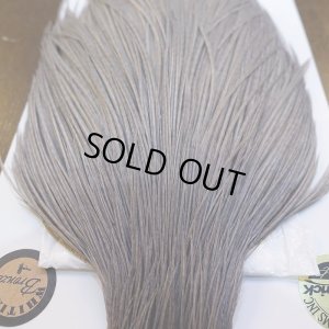 画像6: 【Whiting】ROOSTER CAPE BRONZE Grade - Medium Dun No.1