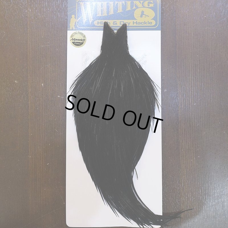 画像1: 【WHITING】High & Dry ROOSTER Cape - DYED BLACK No.3 (1)