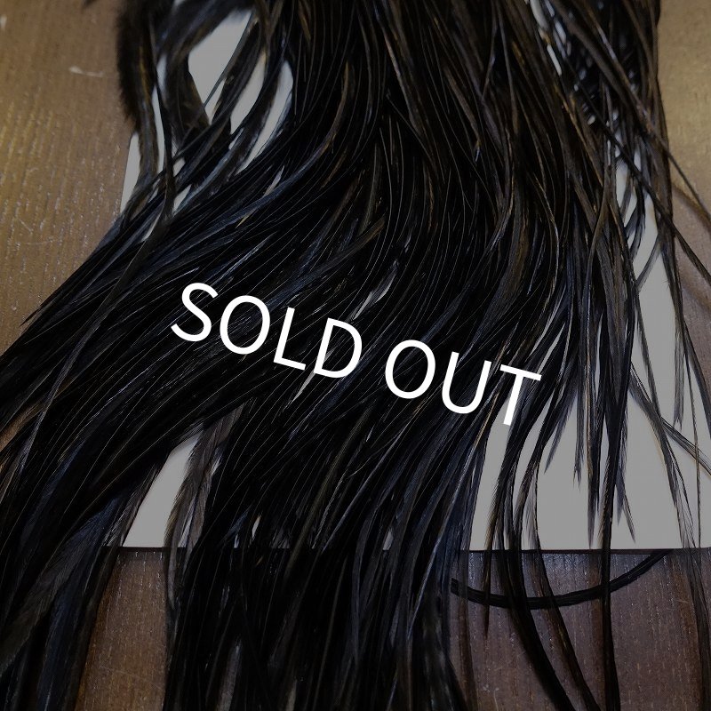 画像6: 【WHITING】ROOSTER SADDLE PRO Grade - Black No.2 #16 (6)