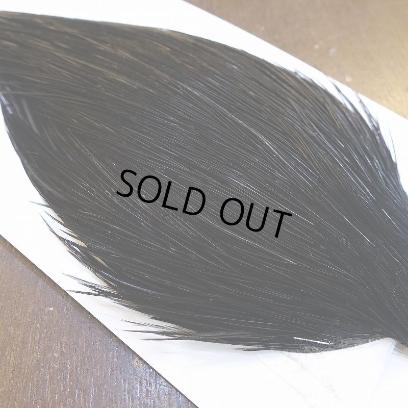 画像4: 【WHITING】High & Dry ROOSTER Cape - DYED BLACK No.3 (4)