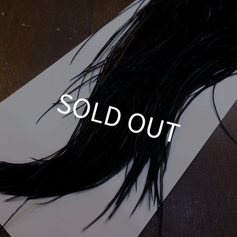 画像5: 【WHITING】ROOSTER SADDLE PRO Grade - Black No.3 #18 (5)