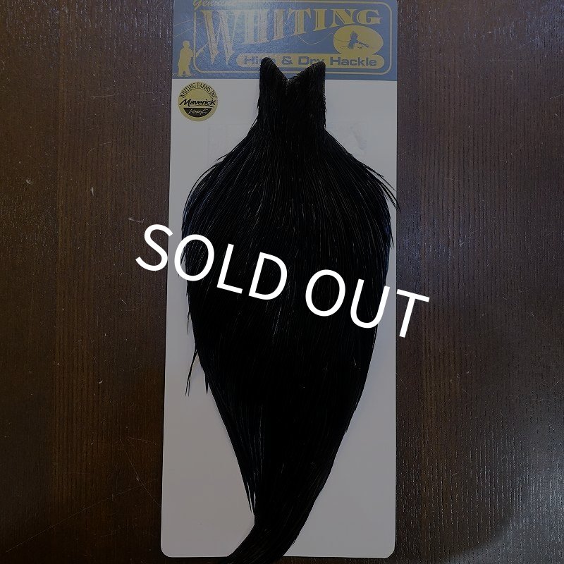 画像1: 【WHITING】High & Dry ROOSTER Cape - DYED BLACK No.2 (1)