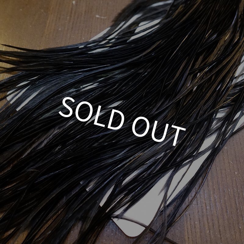 画像5: 【WHITING】ROOSTER SADDLE PRO Grade - Black No.2 #16 (5)