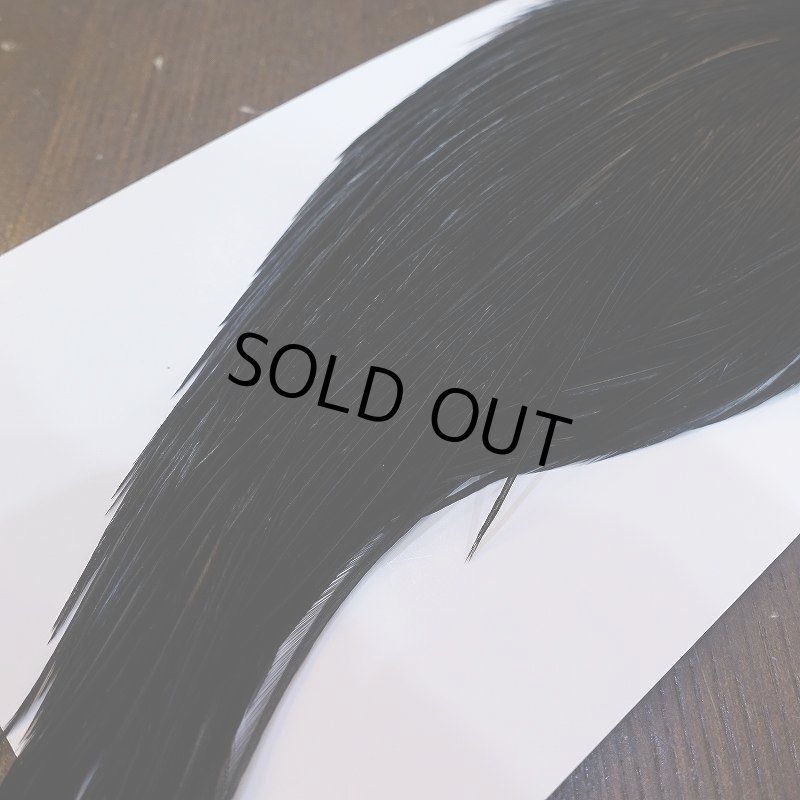 画像5: 【WHITING】High & Dry ROOSTER Cape - DYED BLACK No.3 (5)