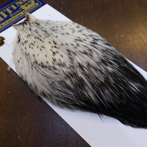 画像2: 【WHITING】American Rooster Cape - Black Laced White No.1