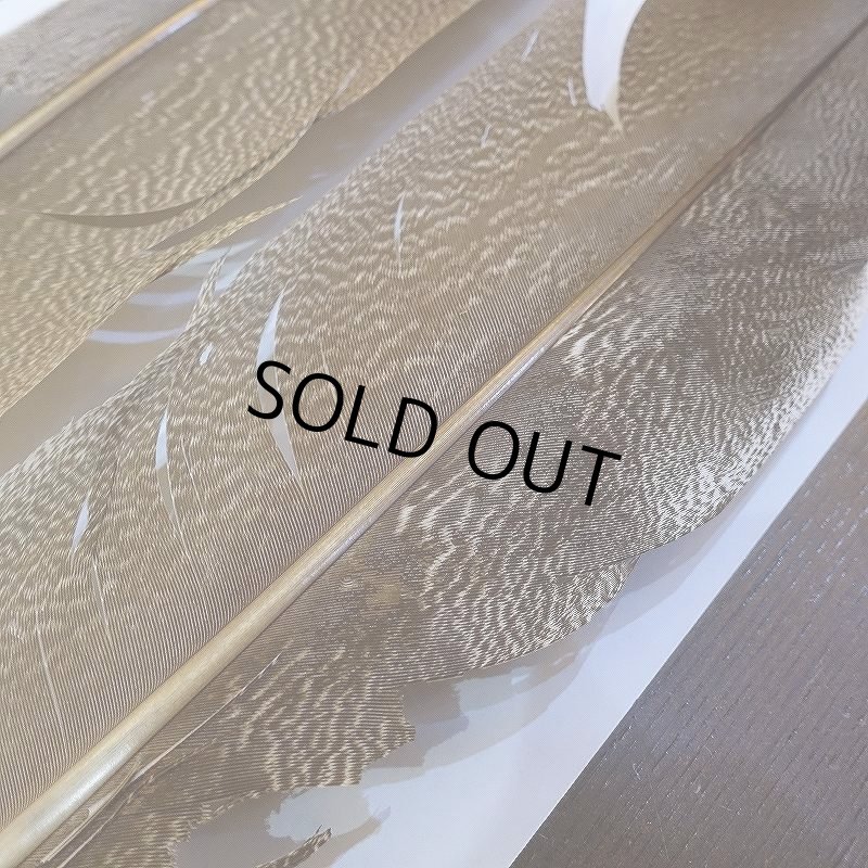 画像6: 【CANAL】Kori Bustard Lサイズ(スペックルドバスタード) No.2 (6)