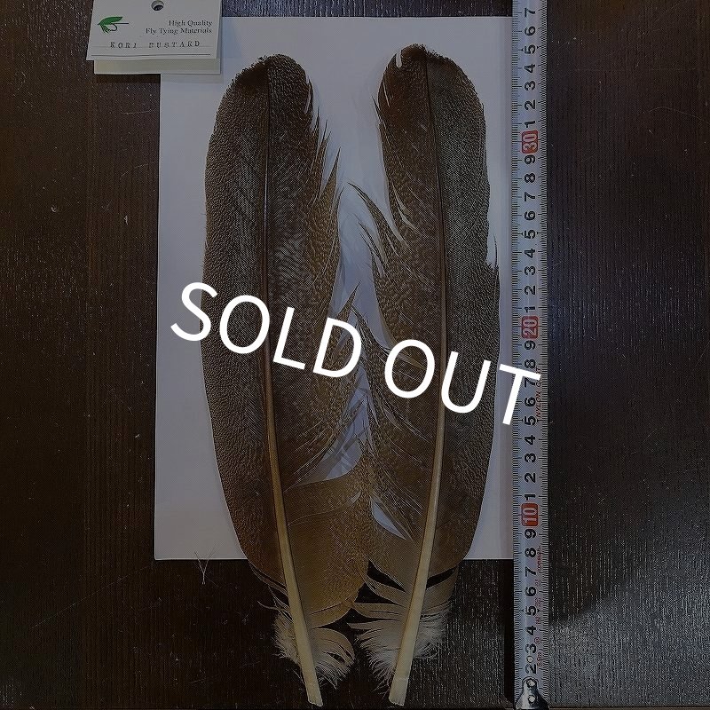 画像1: 【CANAL】Kori Bustard Lサイズ(スペックルドバスタード) No.3 (1)