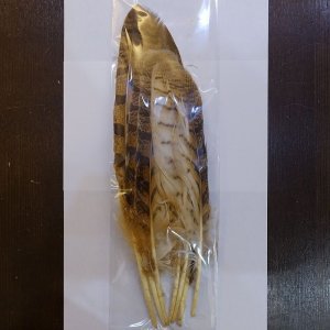 画像1: 【CANAL】OWL QUILL FOR BODY