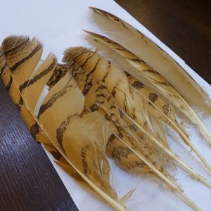 画像2: 【CANAL】OWL QUILL FOR BODY