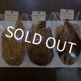 ハックル各種 - DOLLYVARDEN FLYSHOP