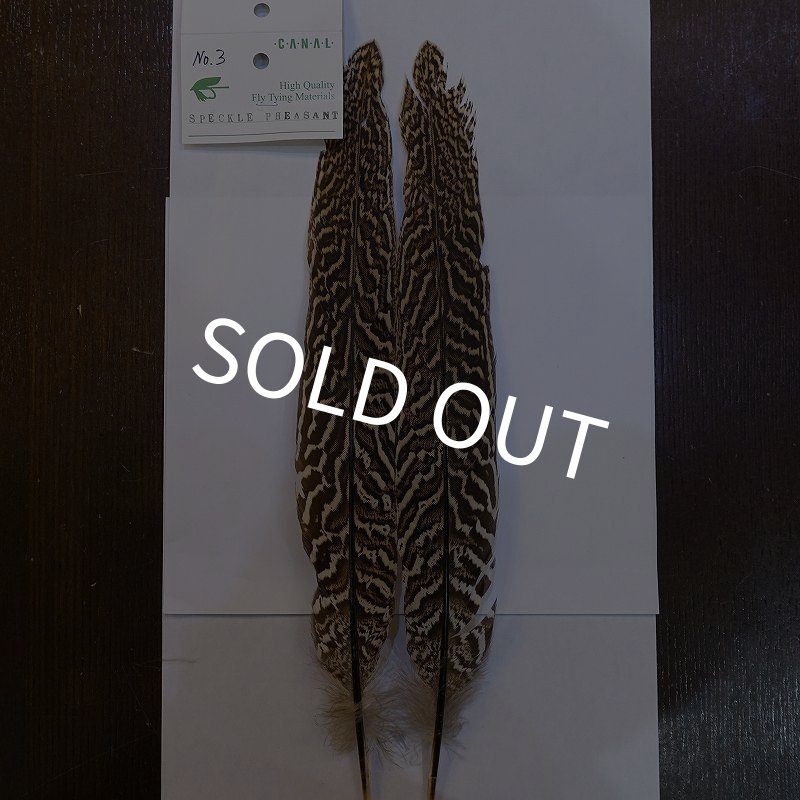 画像1: 【CANAL】スペックルドフェザント ウィング No.3 (1)
