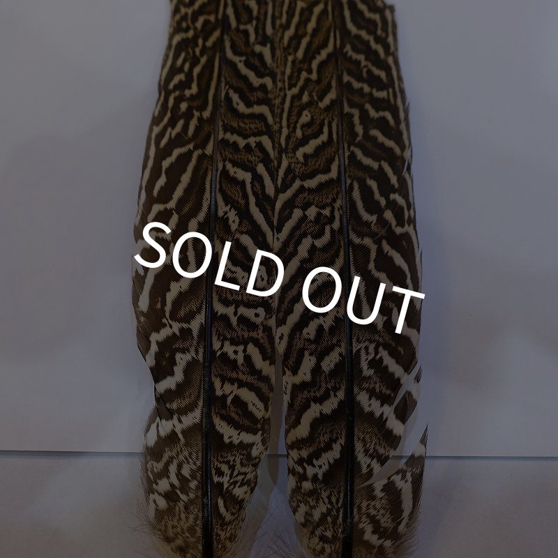 画像2: 【CANAL】スペックルドフェザント ウィング No.3 (2)