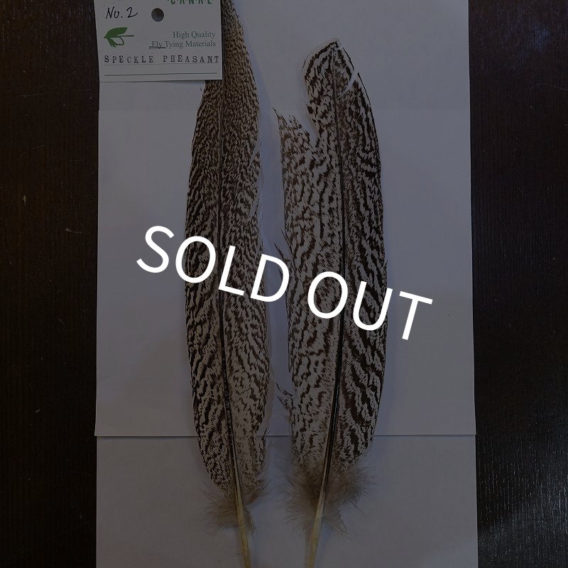画像1: 【CANAL】スペックルドフェザント ウィング No.2 (1)