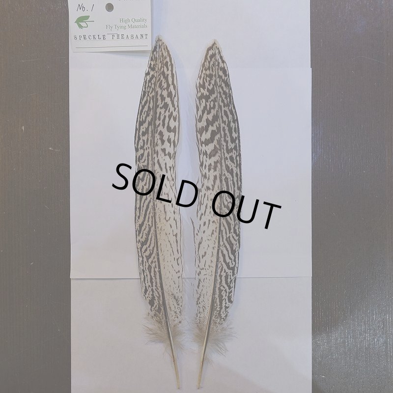 画像1: 【CANAL】スペックルドフェザント ウィング No.1 (1)