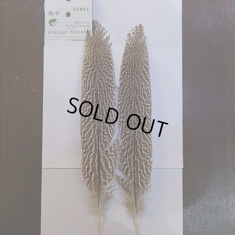 画像1: 【CANAL】スペックルドフェザント ウィング No.4 (1)
