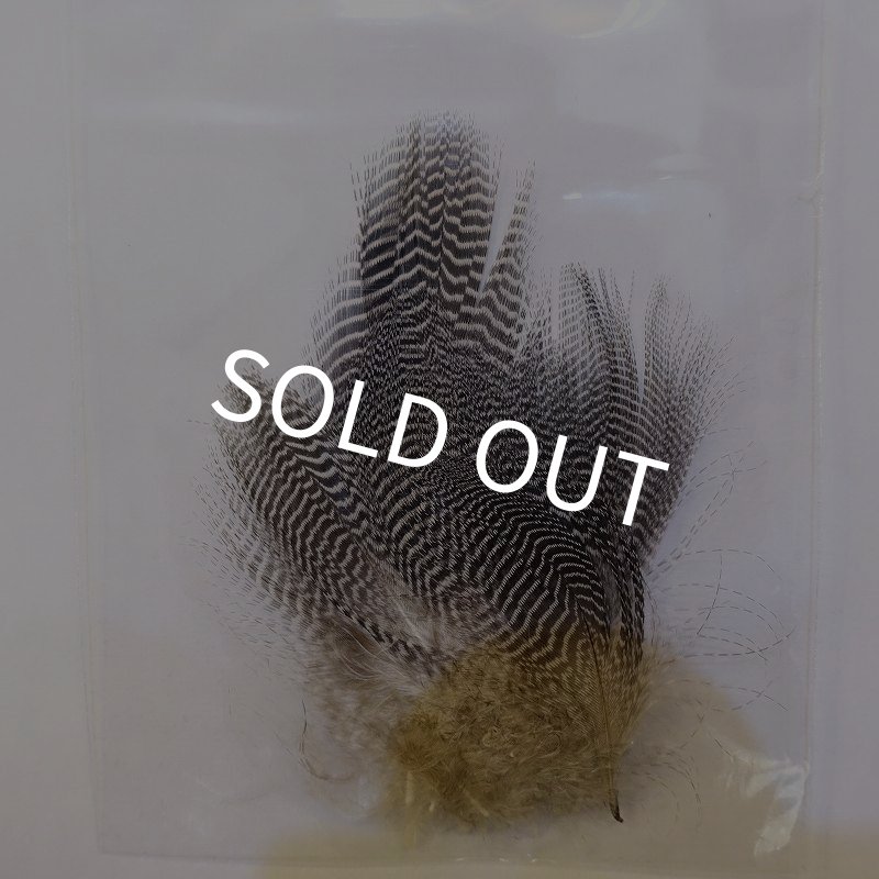 画像2: 【ANGLE】BARRED TEAL FLANK (2)